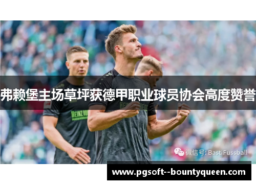 弗赖堡主场草坪获德甲职业球员协会高度赞誉 弗赖堡主场草坪获德甲职业球员协会高度赞誉